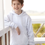 ComfortBlend EcoSmart Youth Hooded Sweatshirt